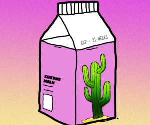 Cactus Milk