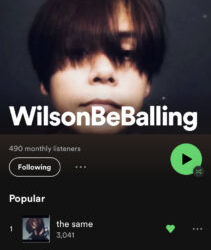 WilsonBeBalling